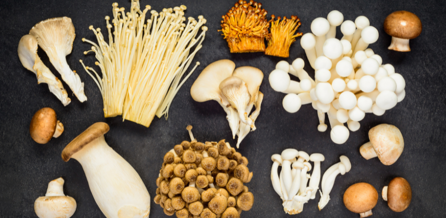Health Benefits of Exotic Mushrooms: Nature’s Superfood