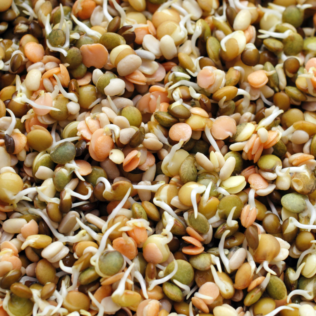 Protein Mix Sprouts