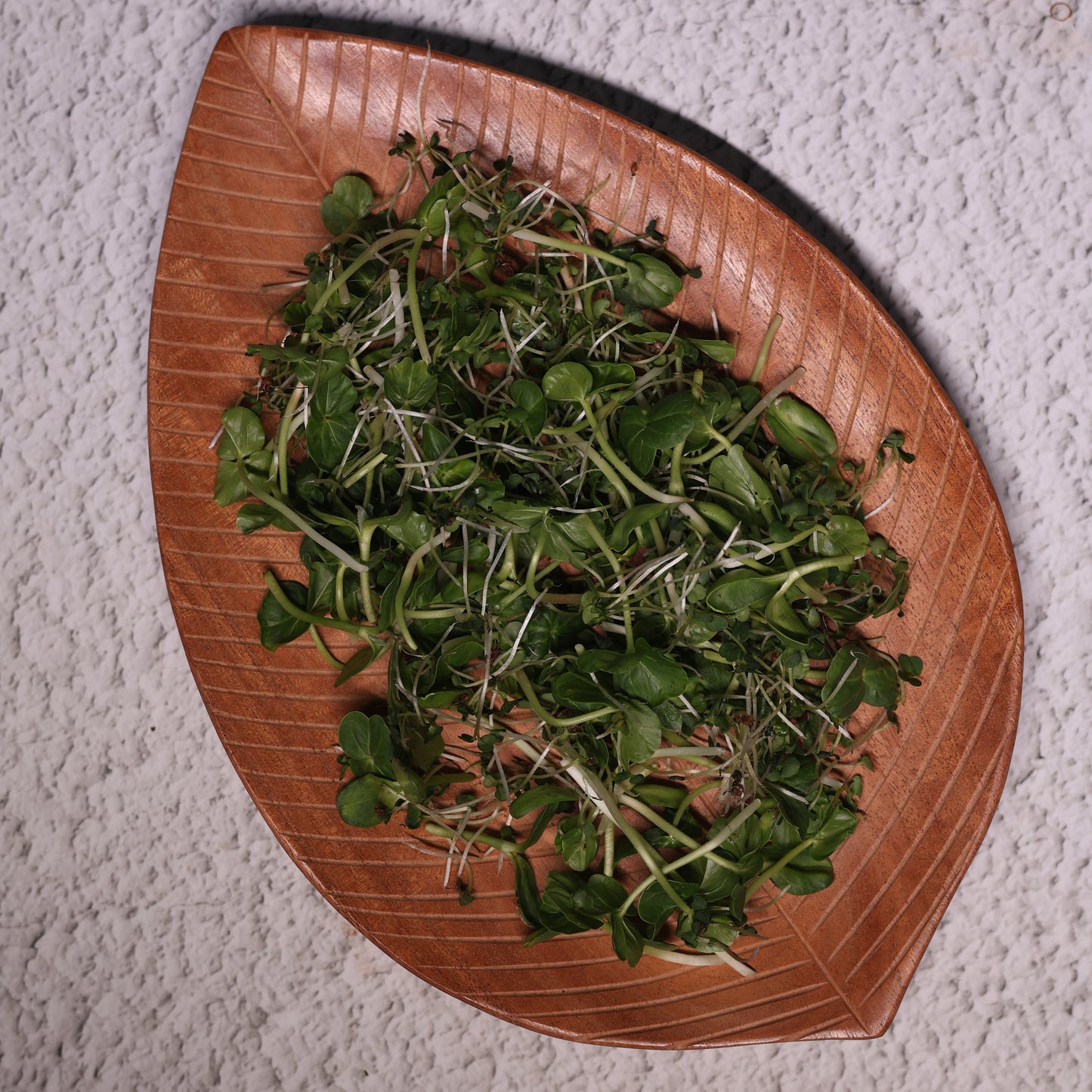 Jain Microgreens Mix