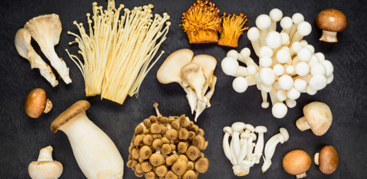 Health Benefits of Exotic Mushrooms: Nature’s Superfood