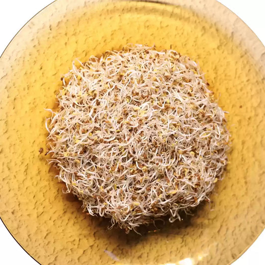 Alfa Sprouts