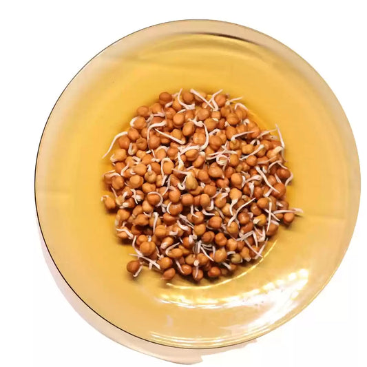 Brown Chana Sprouts
