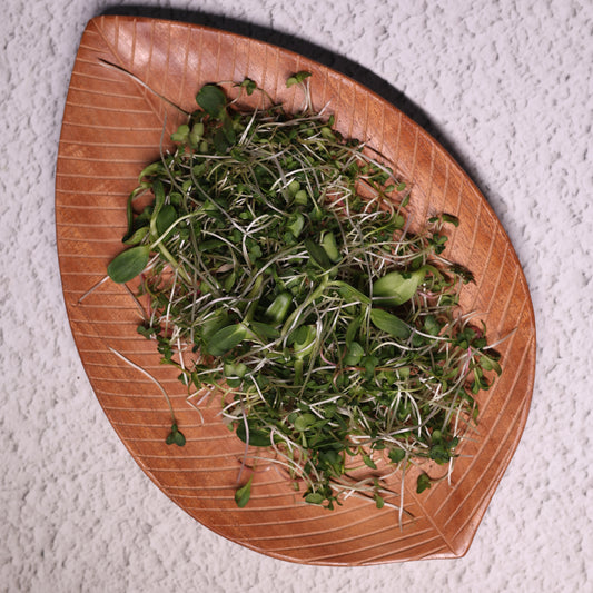 Detox Microgreens Mix