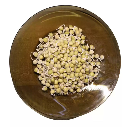Green Pea Sprouts