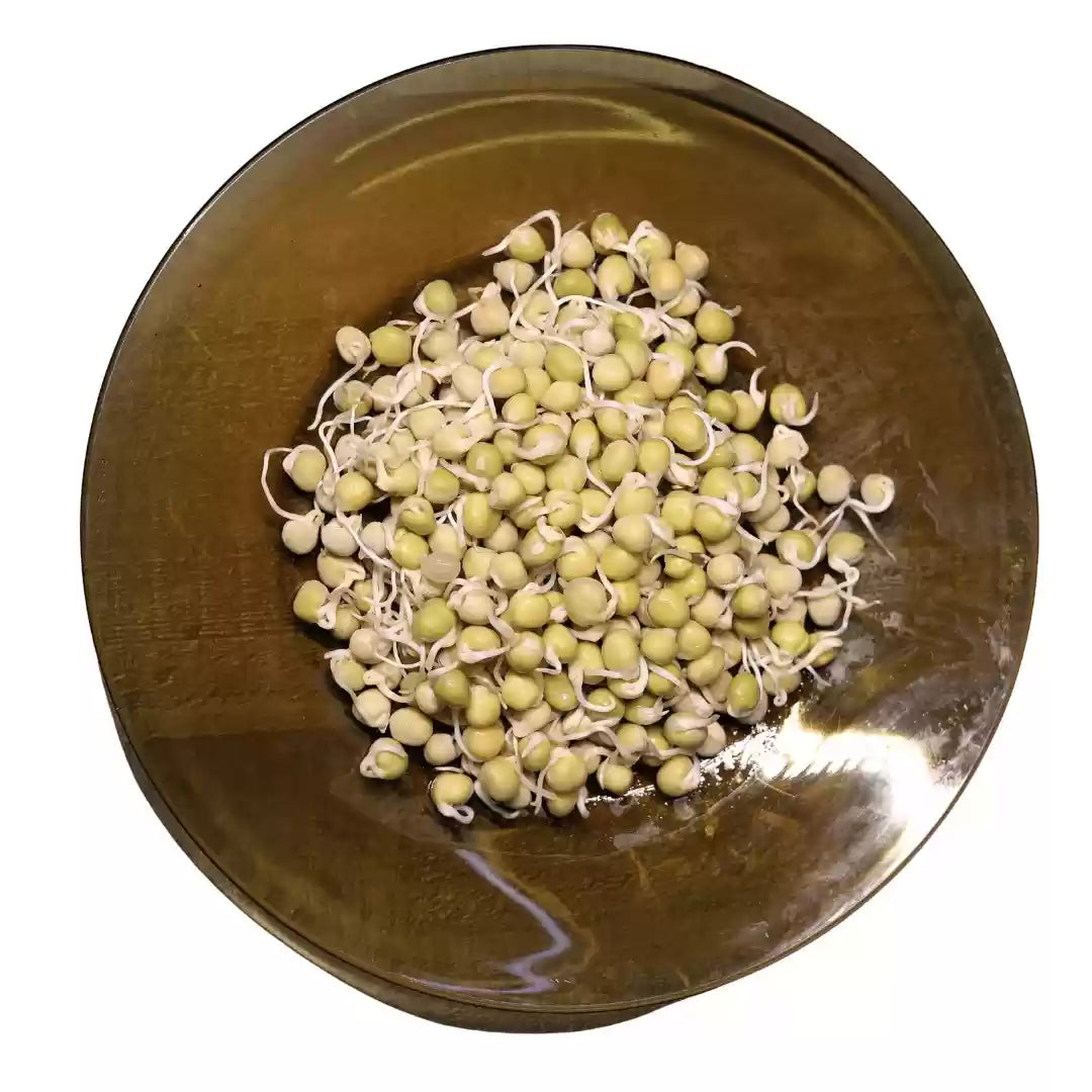 Green Pea Sprouts
