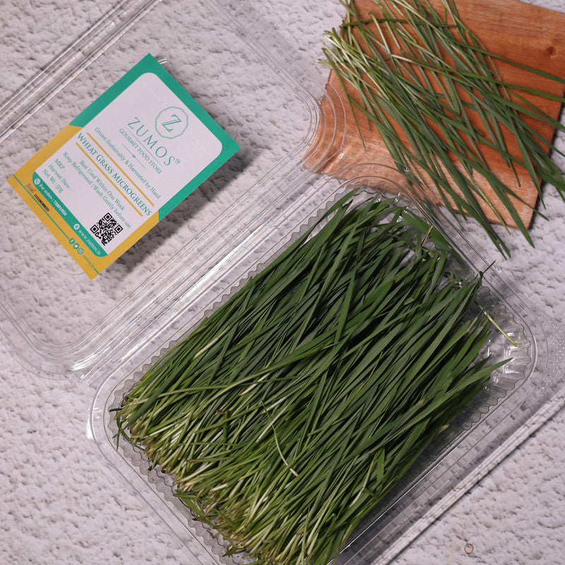 Wheatgrass Microgreens