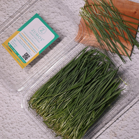 Wheatgrass Microgreens