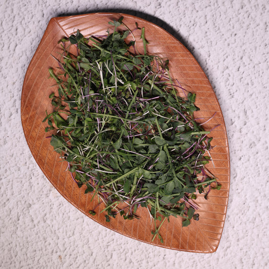 Cardiac Microgreens Mix