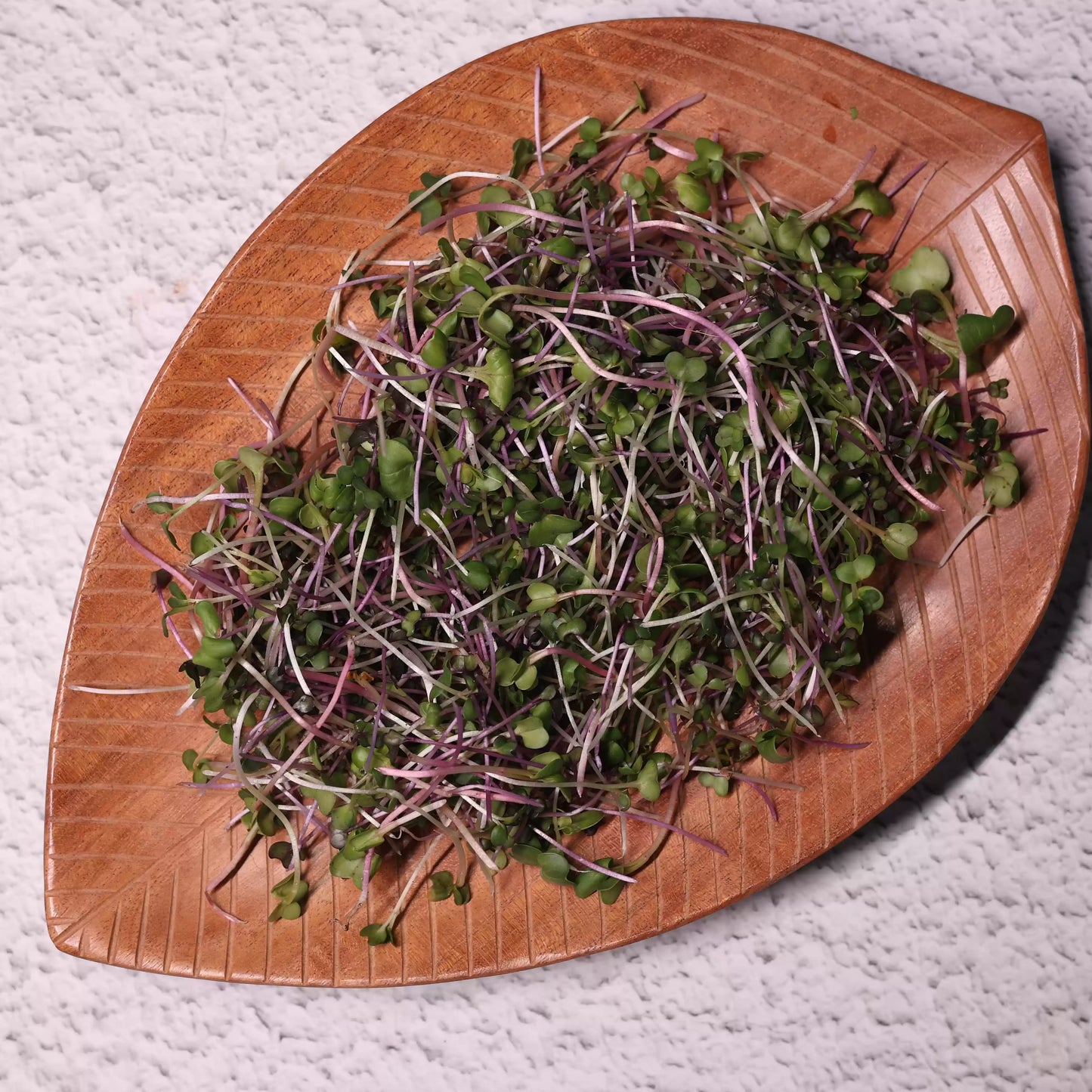 Onco Microgreens Mix