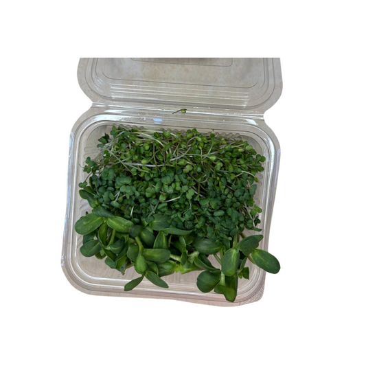 Thyroid Microgreen Mix